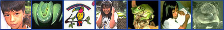 OneWorld Classrooms -- Teacher Testimonials