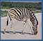 Africa E-Travel Logs